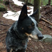 User avatar for J Goods