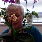 User avatar for Dilly Bradford