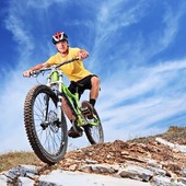 User avatar for Steve Shafer