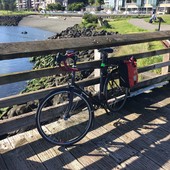 User avatar for Jill Carlsen