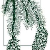 User avatar for Nicole Grewe