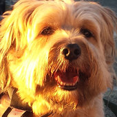 User avatar for Andy Ryan