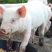 User avatar for Jeff Beckwith