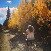 User avatar for Nicole D'Amato 