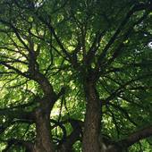 User avatar for Rachel Reitz