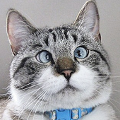 User avatar for Robert Fundy