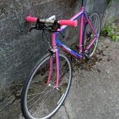 User avatar for Leslie Webster