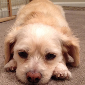 User avatar for Sandy Poliachik