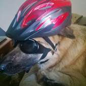 User avatar for Elizabeth Johnson