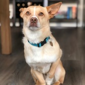 User avatar for Angela Francisco