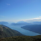 User avatar for Demian Schane