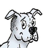 User avatar for Ian Salkind