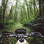 User avatar for Jason Domogalla