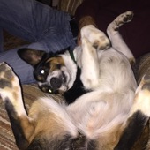 User avatar for Briar Doty