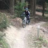 User avatar for Adriana Reis