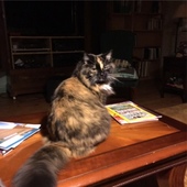 User avatar for Ken Cooper