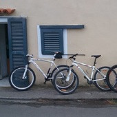 User avatar for Steve Raugust