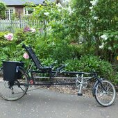 User avatar for Cindy Stavenhagen