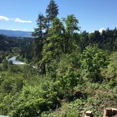 User avatar for Joel Salter Salty