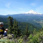 User avatar for Heidi Faller