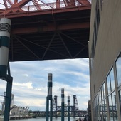 User avatar for Caitlin Vanhauer