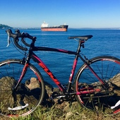 User avatar for Julie Hooper