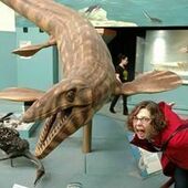 User avatar for Alison Driver