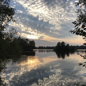 User avatar for William Purcell