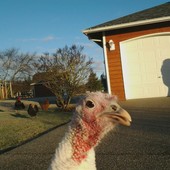 User avatar for Dave Sandquist