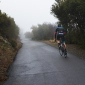 User avatar for Erik Haugen Goodman