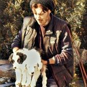 User avatar for Alessio Piergiacomi