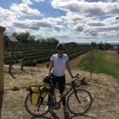 User avatar for Lisa Perry