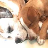 User avatar for Bill Wright