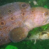 User avatar for Gary Schnaith