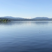 User avatar for Michael Richter