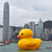 User avatar for Medhanie Habte