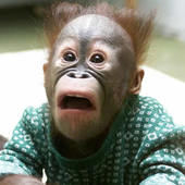 User avatar for Paul Hodor