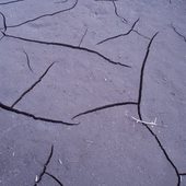 User avatar for Emil Tucker