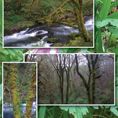 User avatar for Rick Jaspers