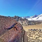 User avatar for Sam Greenspan