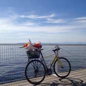 User avatar for Andra Sawyer