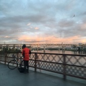 User avatar for Cynthia Clements