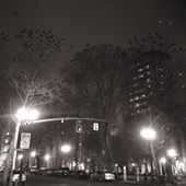 User avatar for Darcy Fetzer