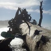 User avatar for Robert Tinker