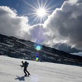 User avatar for Tess Wendel