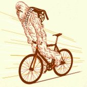 User avatar for Craig Matheny