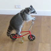 User avatar for Samuel Strobel