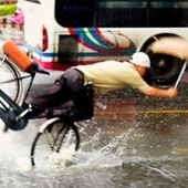 User avatar for Jamie Snyder