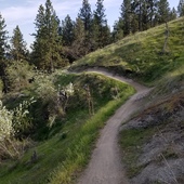 User avatar for Greg Clark