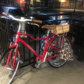 User avatar for Carissa Rose